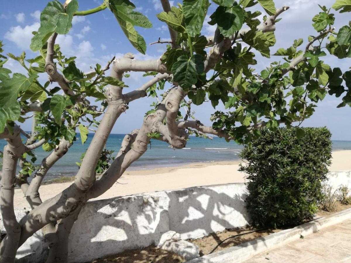 Apartamento Dimora Grazia In Riva Al Mare Monopoli Exterior foto